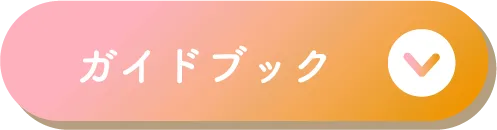 ガイドブック