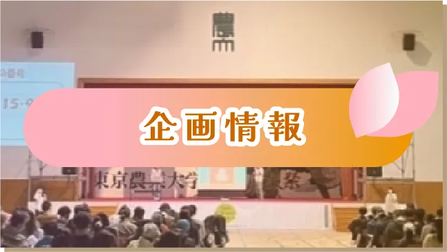 企画情報